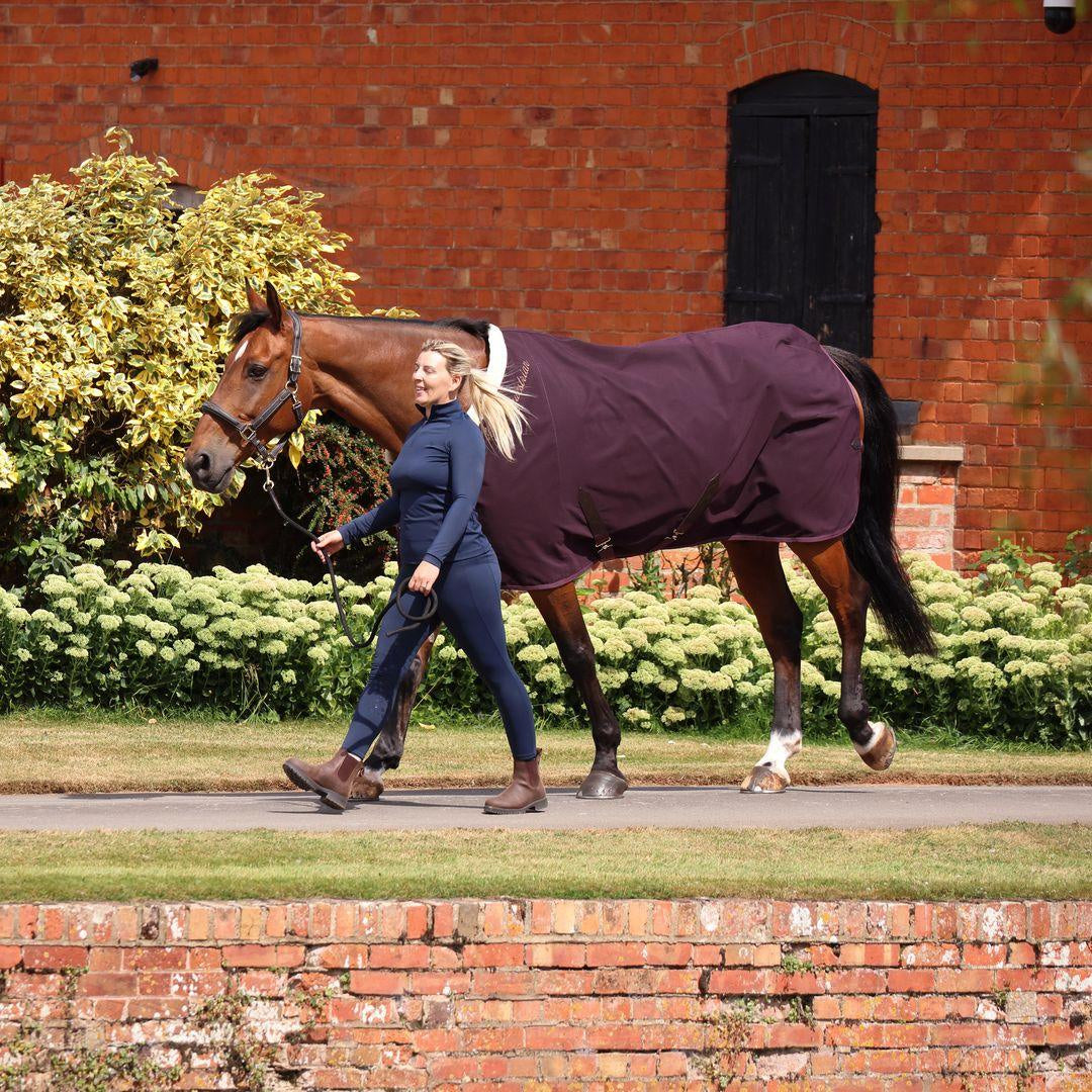 Deluxe Stable Sheet