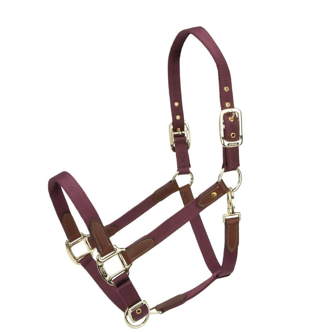 ARMA Porto Headcollar (RRP £27.99)
