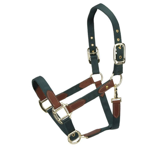 ARMA Porto Headcollar (RRP £27.99)