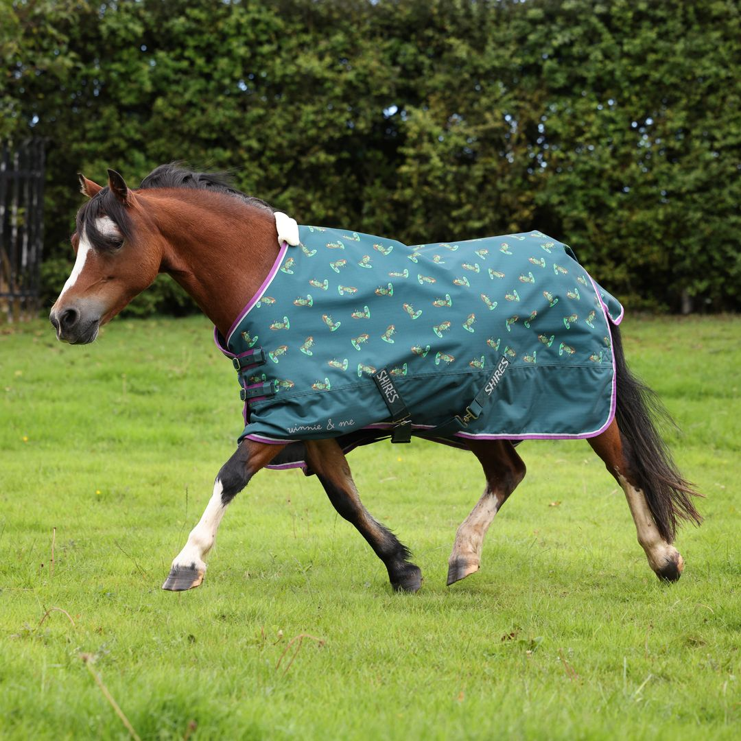 Winnie & Me 100 Turnout Rug (RRP £55.00)