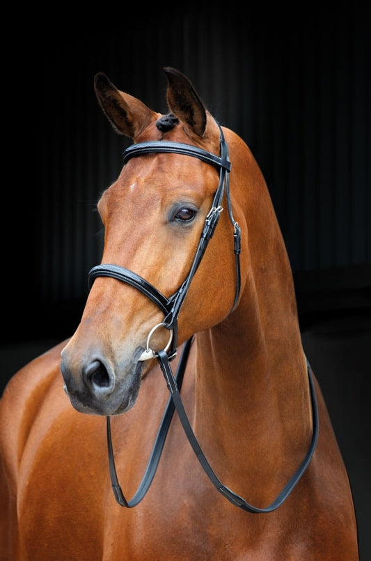 Salisbury Fairford Bridle