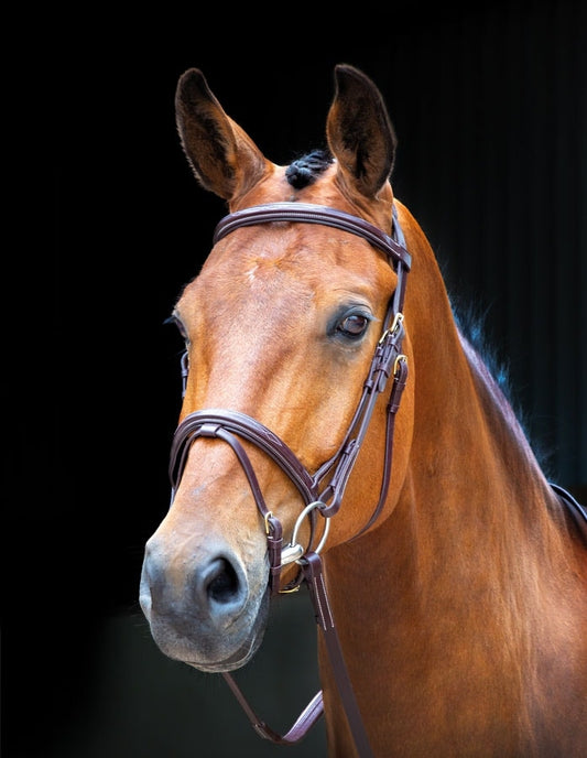 Salisbury Bodenham Bridle