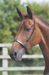 Flat Cavesson Noseband