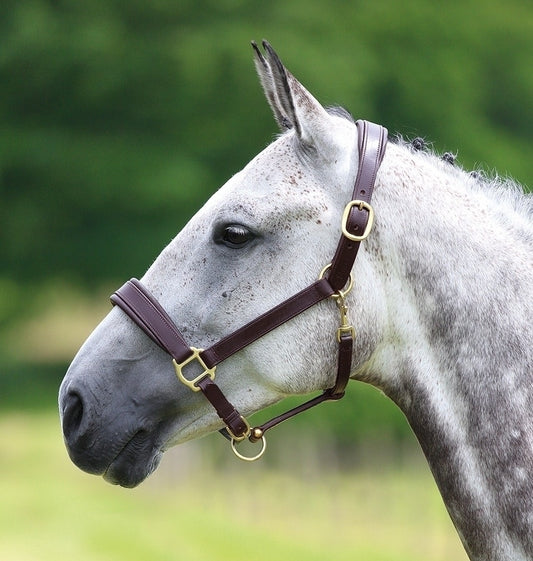 Velociti GARA Leather Travel Headcollar