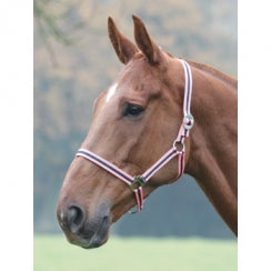 Wessex Nylon Headcollar