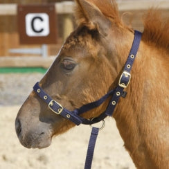 ARMA Nylon Foal Slip