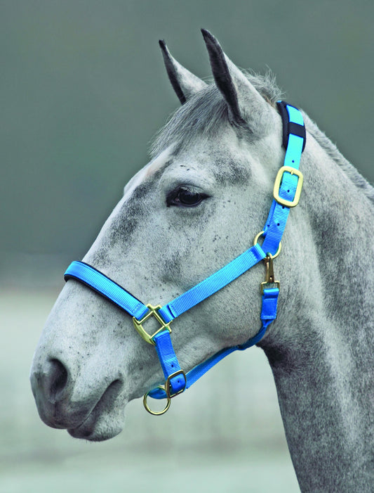 Topaz Nylon Headcollar