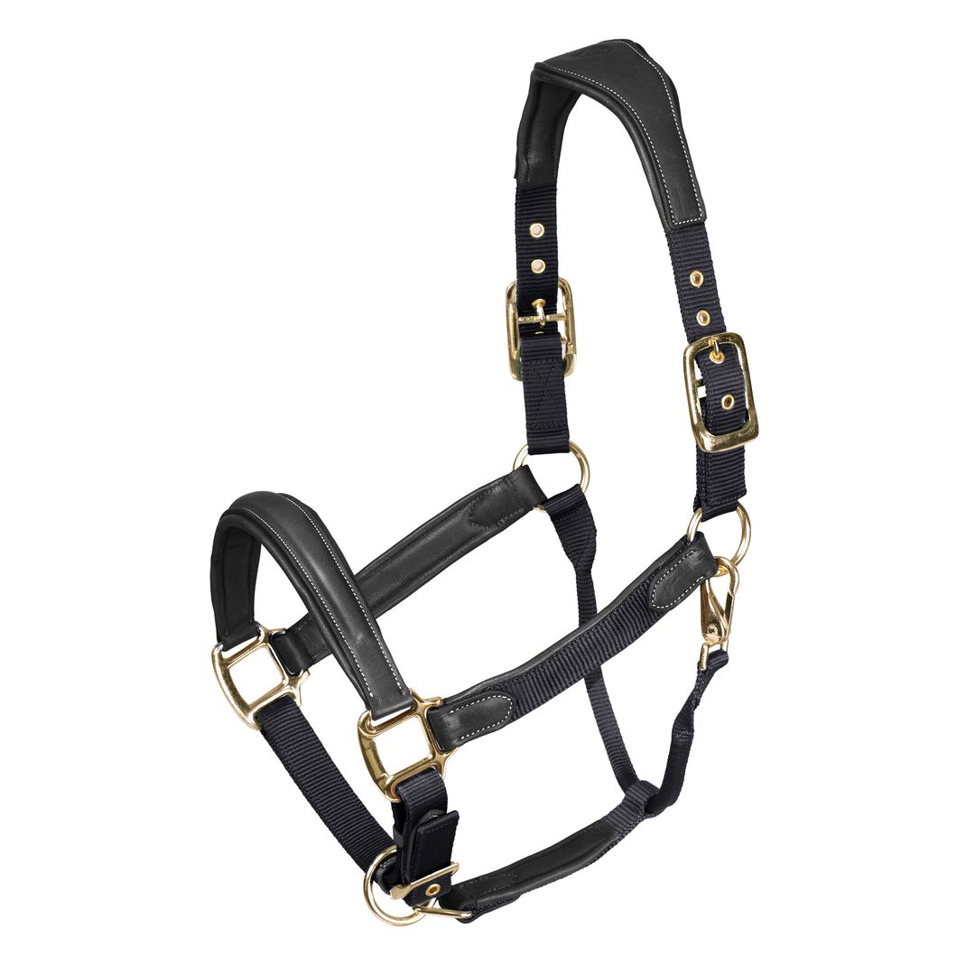 Velociti Lusso Padded Leather Headcollar (RRP £52.99)