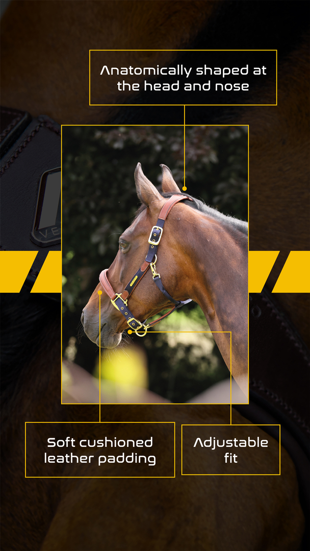 Velociti Lusso Padded Leather Headcollar (RRP £52.99)