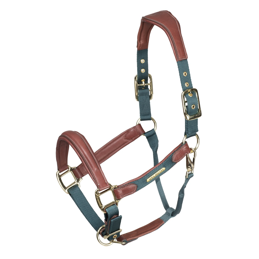 Velociti Lusso Padded Leather Headcollar (RRP £52.99)