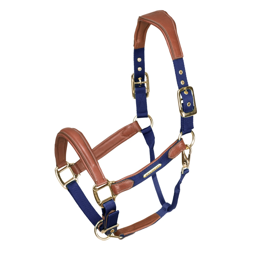 Velociti Lusso Padded Leather Headcollar (RRP £52.99)