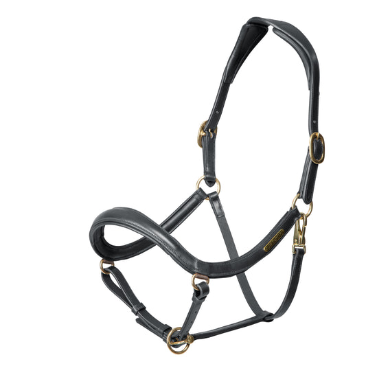 Velociti Rapida Curved Leather Headcollar (RRP £63.99)