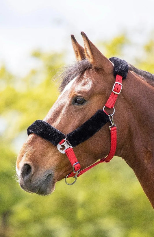 Fleece Lined Headcollar