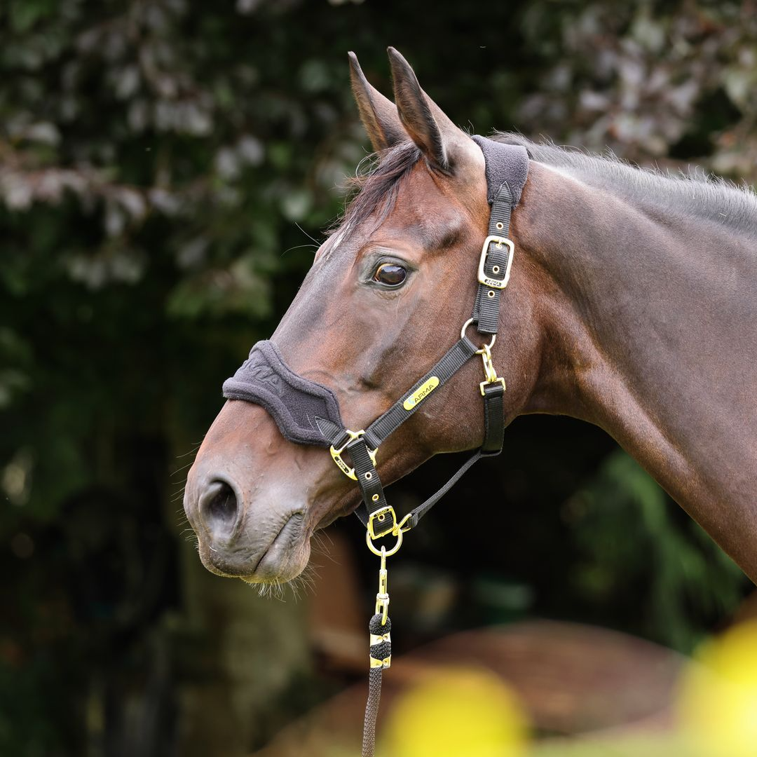 ARMA Fleece Headcollar & Lead Rope