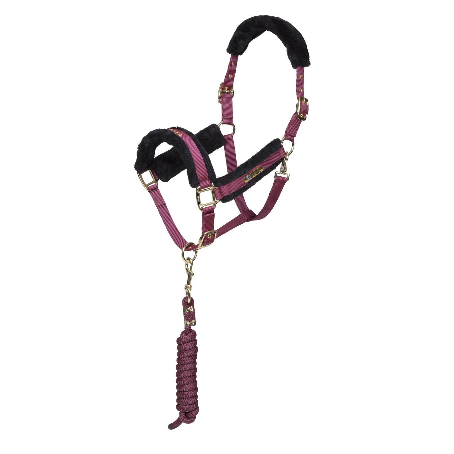 ARMA Logo Headcollar & Lead Rope