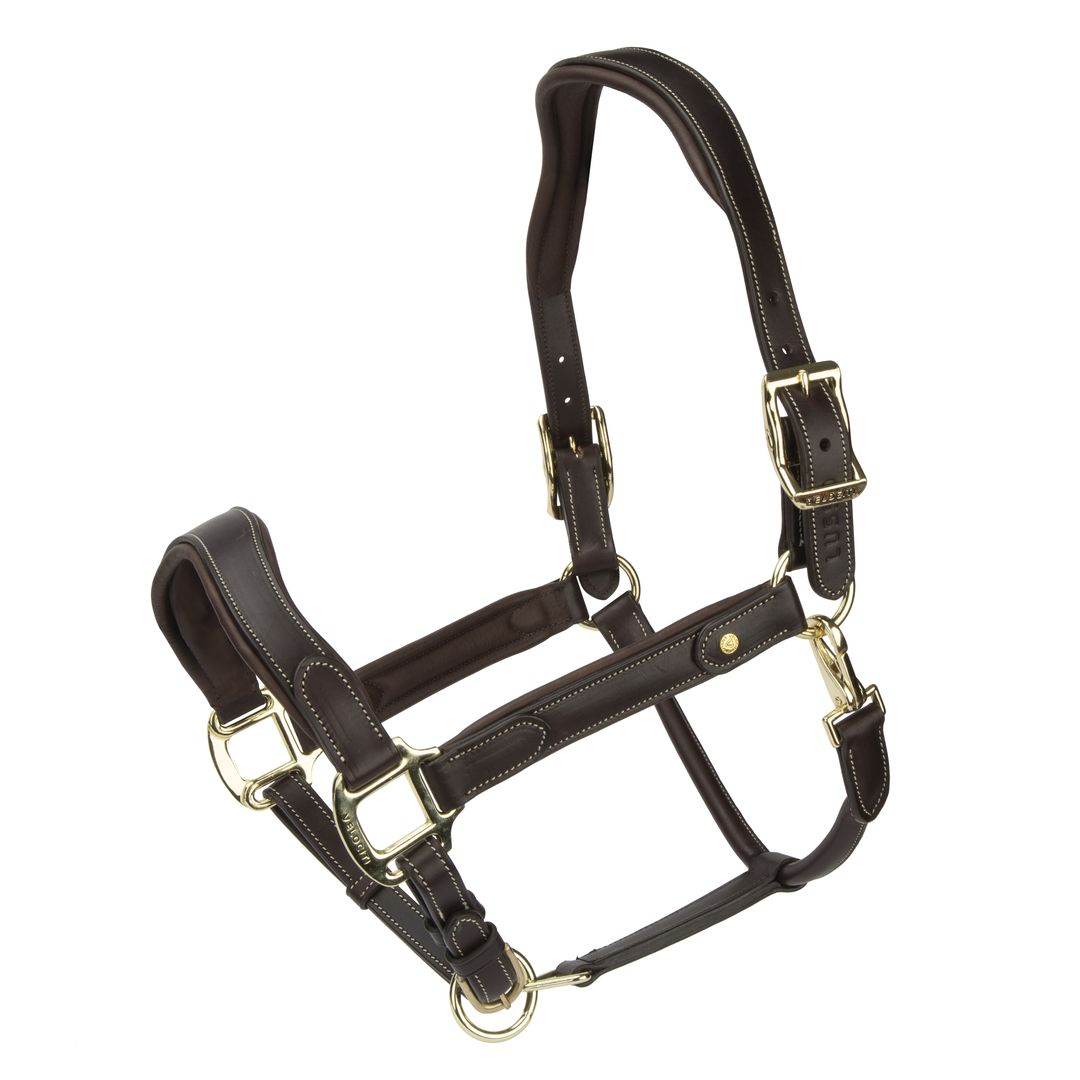 Velociti Lusso Lorca Leather Headcollar (RRP £54.99)