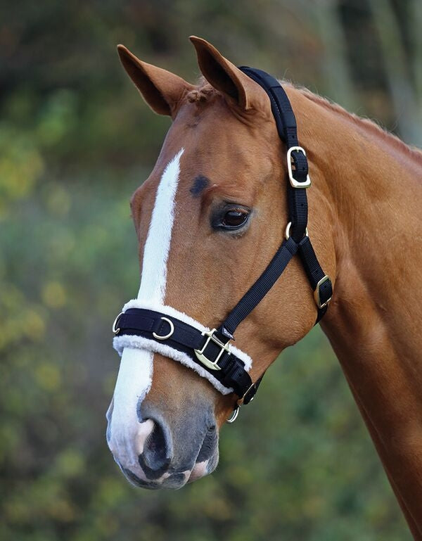 Fleece Lined Lunge Cavesson