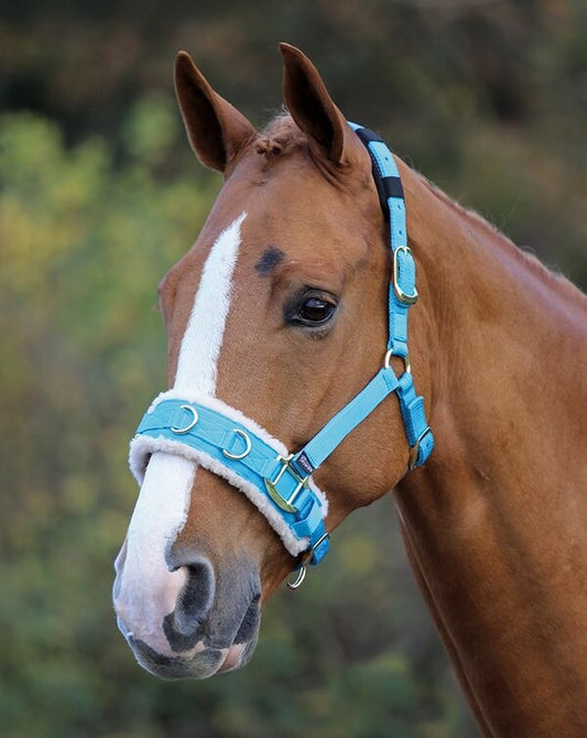 Fleece Lined Lunge Cavesson