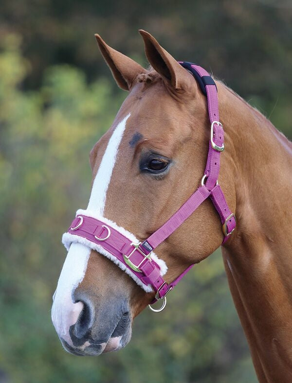 Fleece Lined Lunge Cavesson