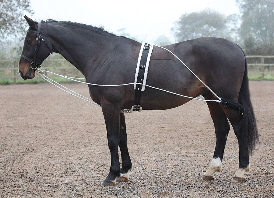 Lunging Aid
