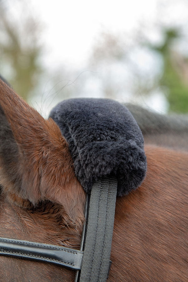 Lunging Adapter (RRP £9.99)