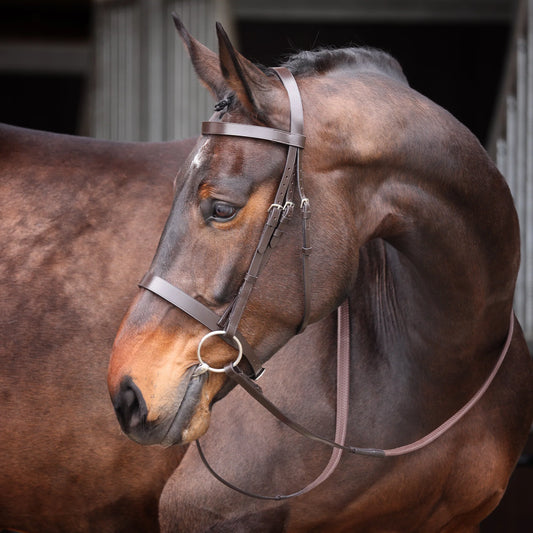 Velociti GARA Plain Bridle (RRP £40)