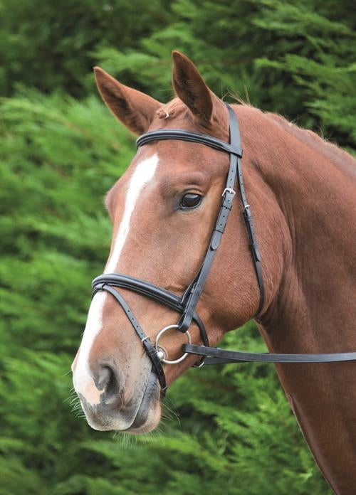 Aviemore Raised Flash Bridle