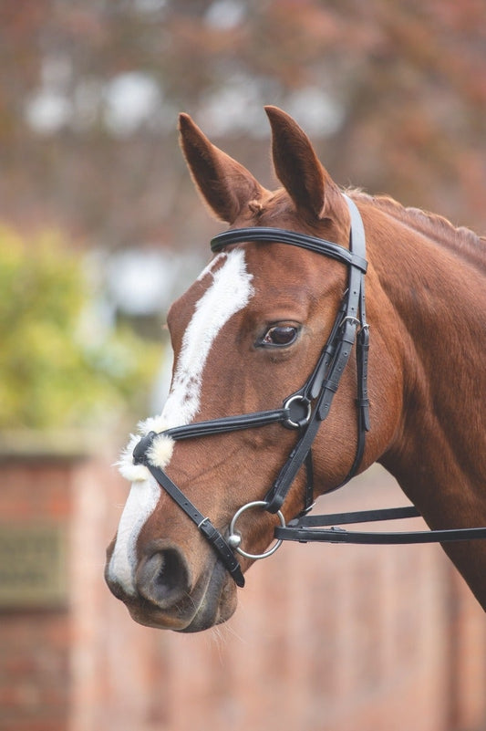 Aviemore Mexican Bridle (rrp £48.99)