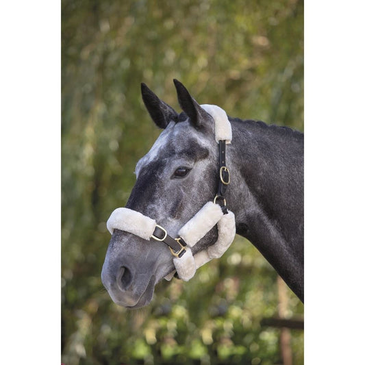 Performance Supafleece Halter Fleeces 6 Piece Set