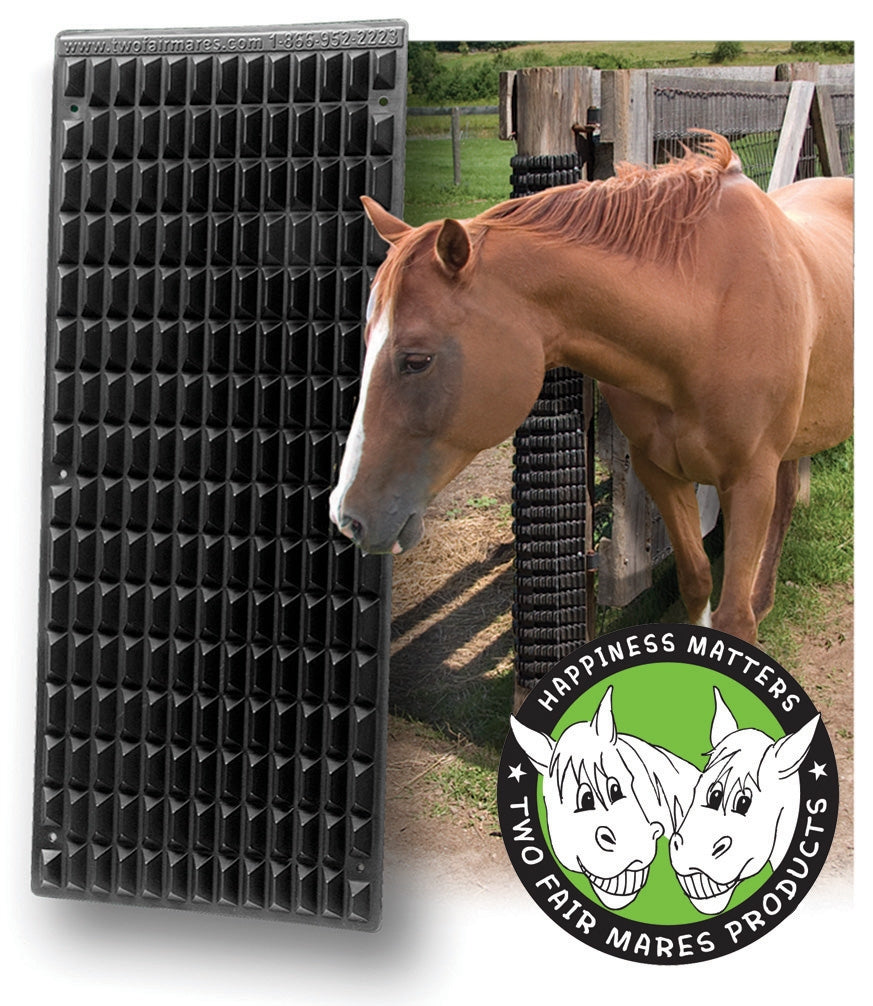The Equine Scratcher