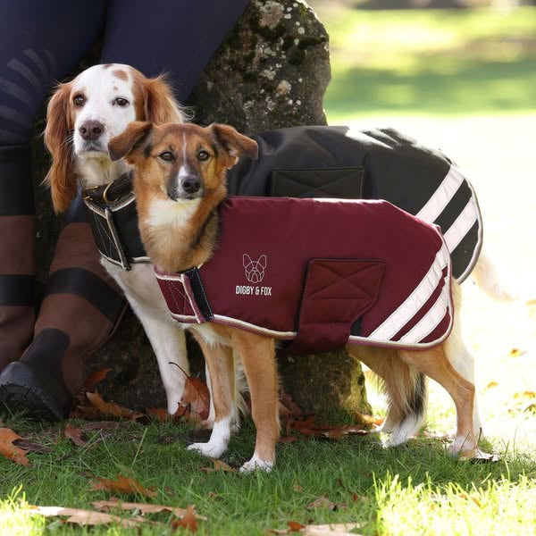 Digby & Fox Waterproof Dog Coat
