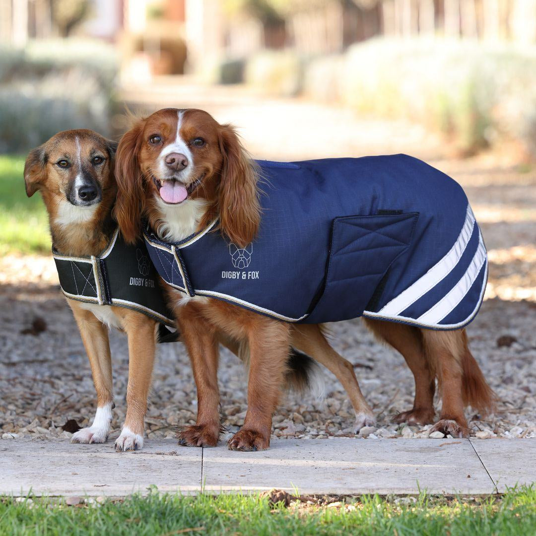 Digby & Fox Waterproof Dog Coat