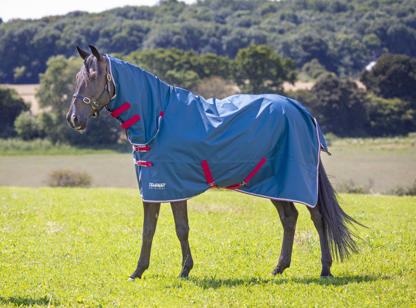 Tempest Original Lite Turnout Combo Rug (RRP £79.99)