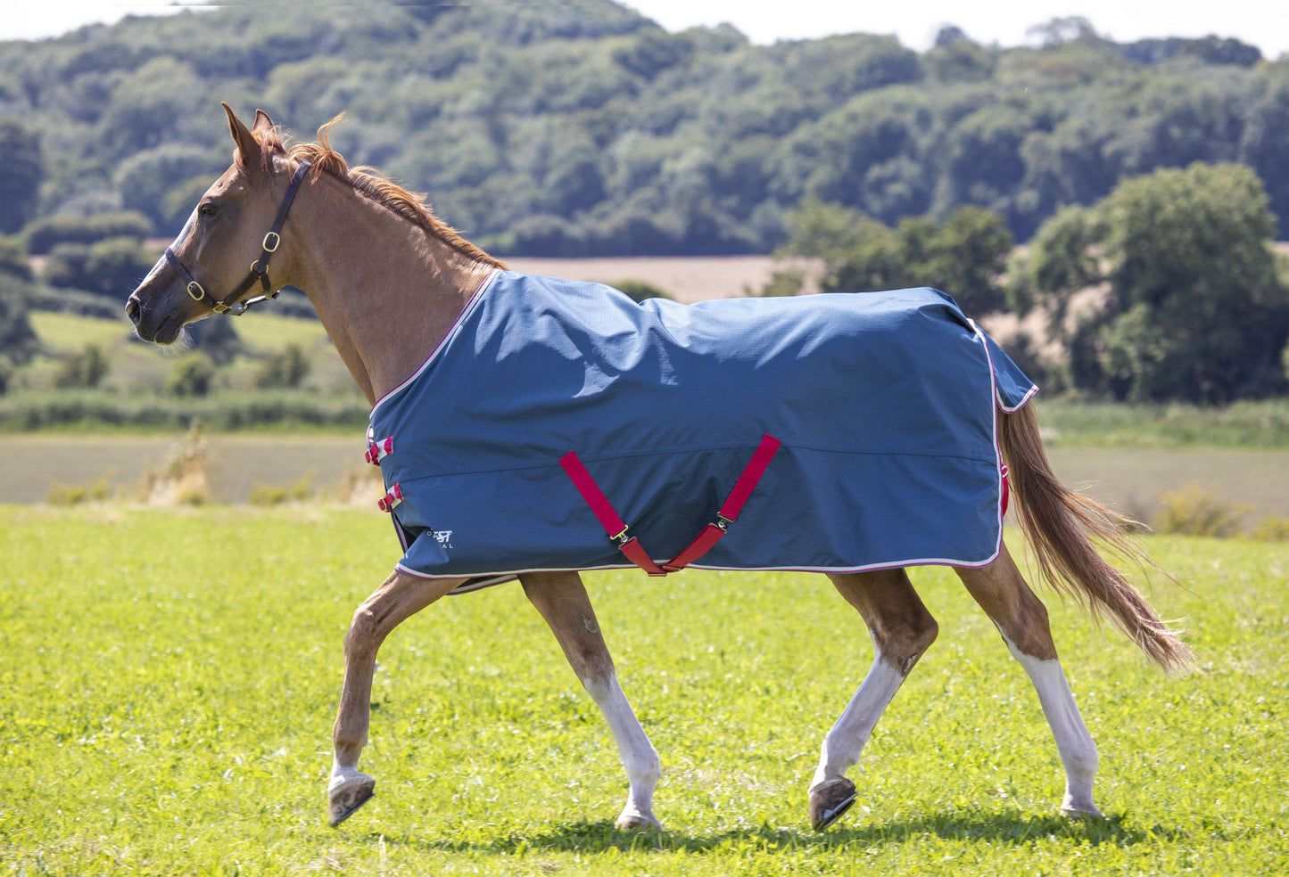 Tempest Original Lite Turnout Rug (RRP £67.99)