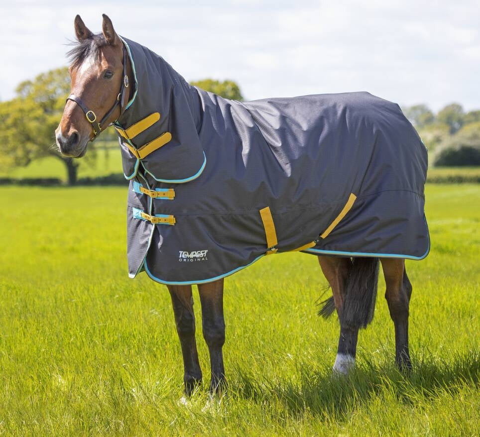 Tempest Original 300g Turnout Combo Rug