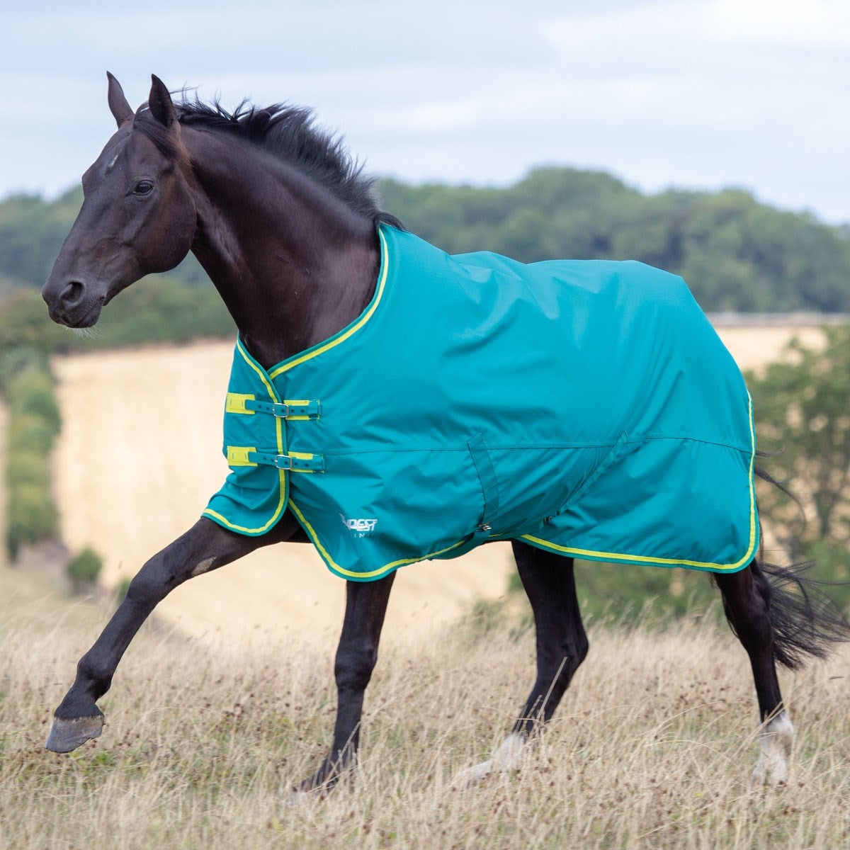 Tempest Original 50g Turnout (RRP £69.99)