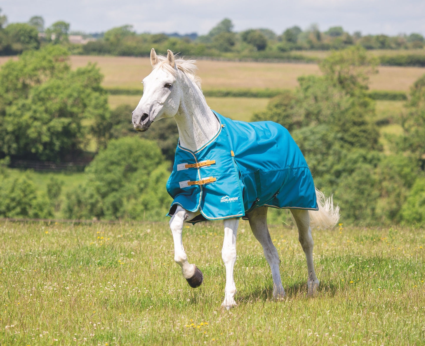 Highlander Original Lite Turnout Rug (RRP £71.99)