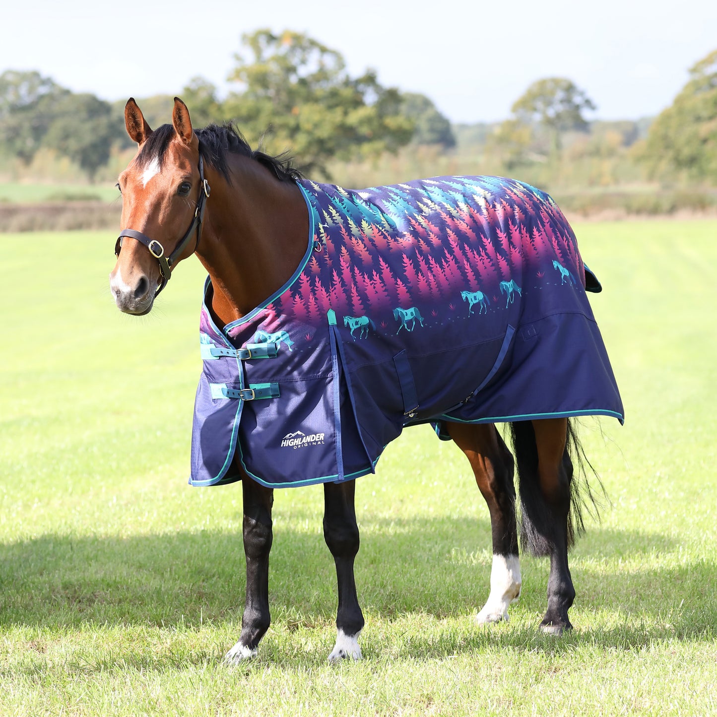 Highlander Original 100 Turnout Rug Navy Forrest (RRP £84.99)