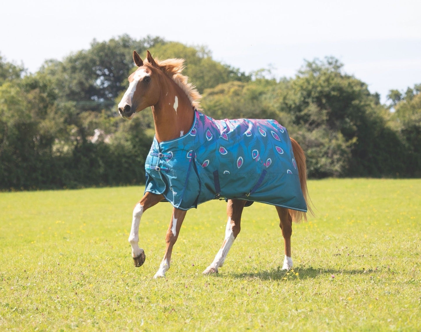 Highlander Original 200 Turnout Rug (RRP £79.99)