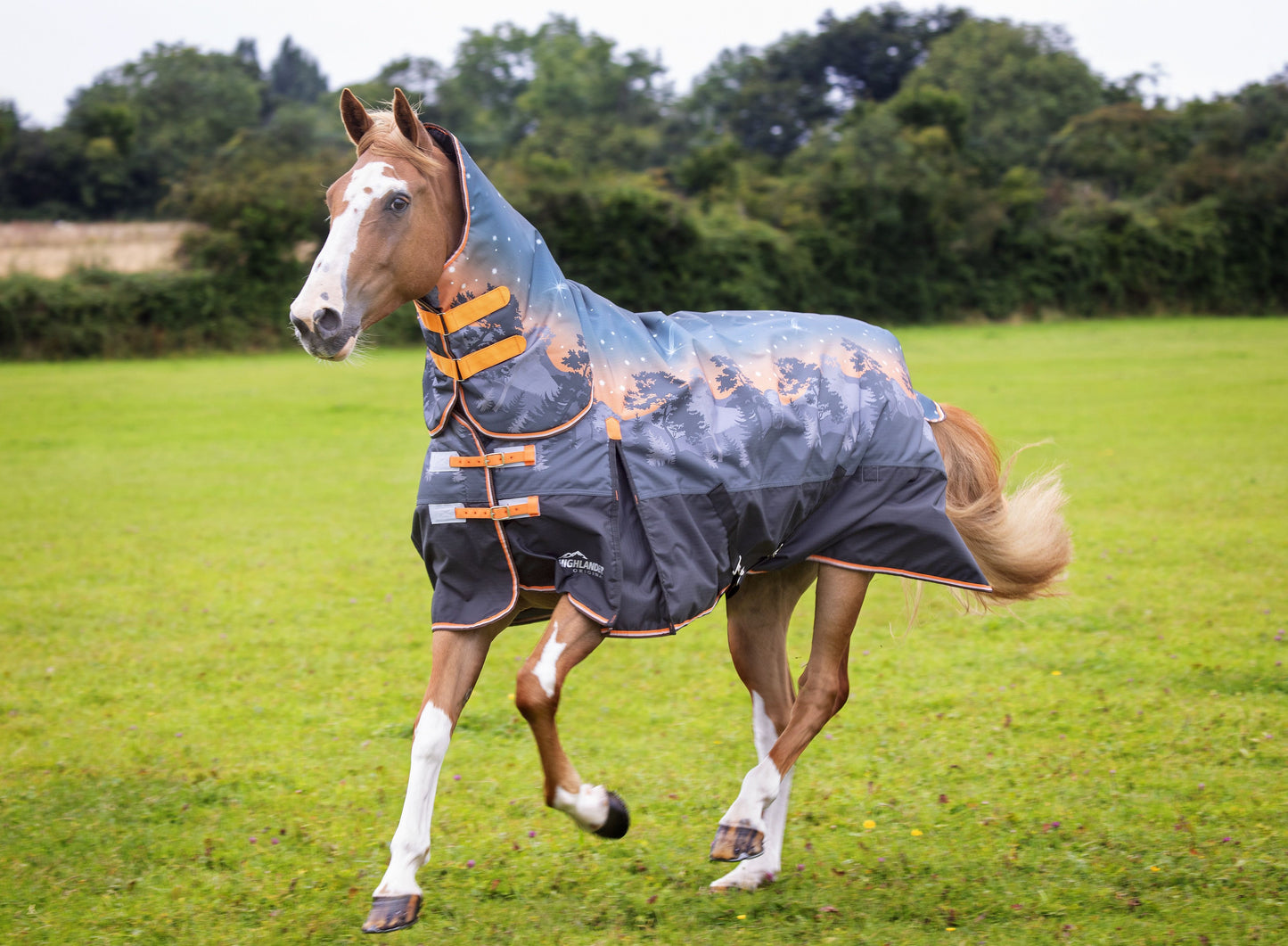 Highlander Original 200g Turnout Combo Rug