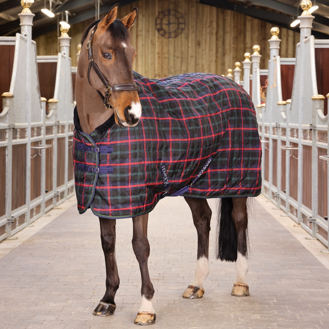 Tempest Plus 100 Stable Rug (RRP £57.99)