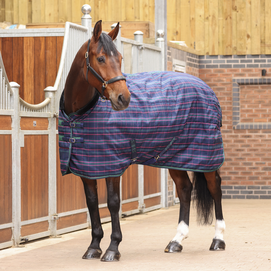 Tempest Plus 100 Stable Rug