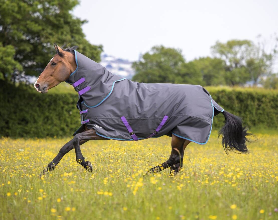 Tempest Original 300 Turnout Rug & Neck Set (RRP £87.99)