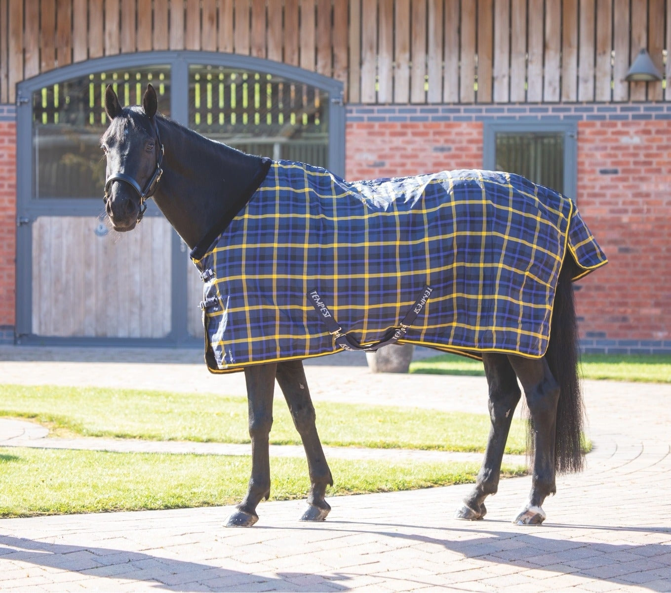 Tempest Plus Lite Stable Rug (RRP £52.99)