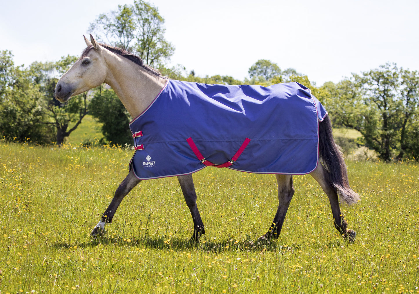 Tempest Original Air Motion Turnout Rug