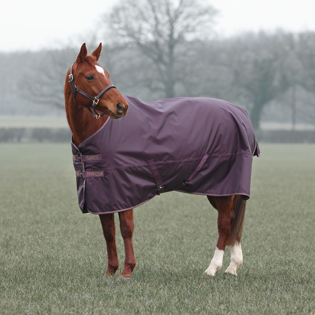 NEW Typhoon 100 Turnout Rug (Black Cherry)