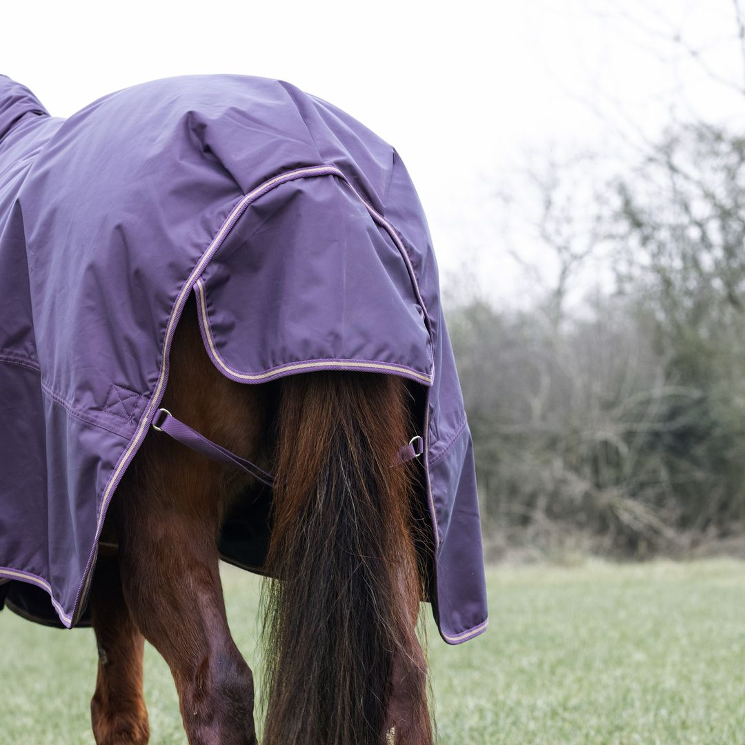 Typhoon 100 Combo Turnout Rug (RRP £70)