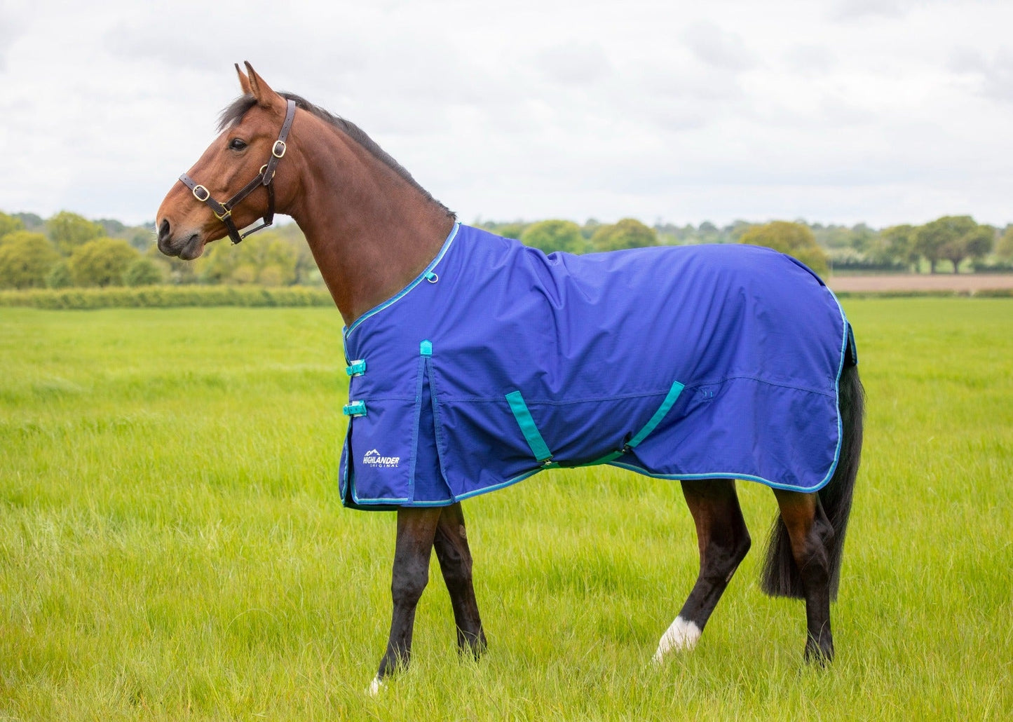 Highlander Original 50g Turnout Rug & Neck Set (RRP £97.99)
