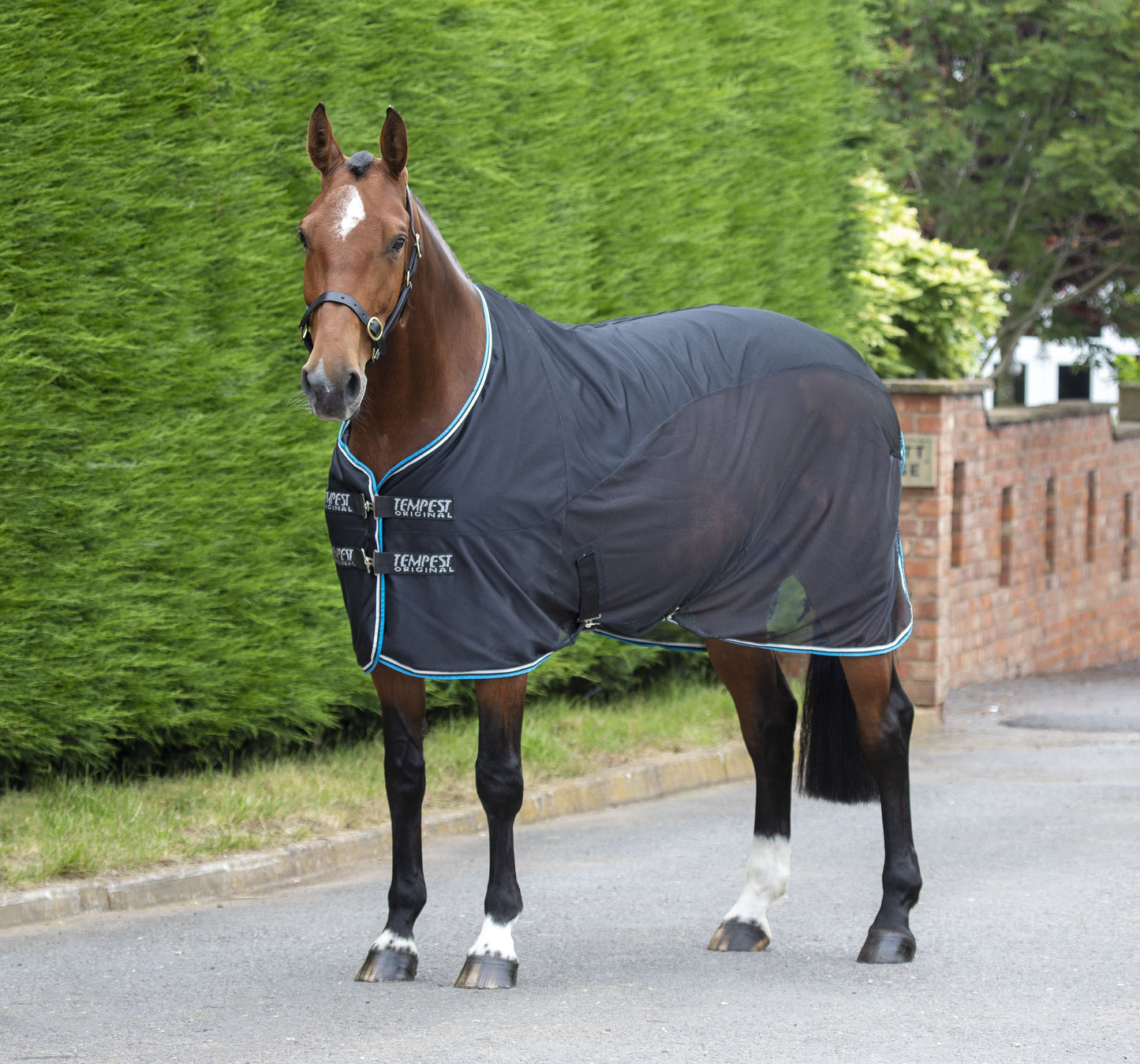 Tempest Original Fleece/Mesh Cooler Rug (RRP £39.99)