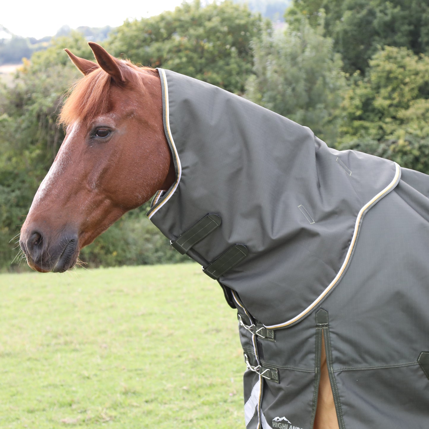 Highlander Plus 50 Turnout Rug Neck Cover